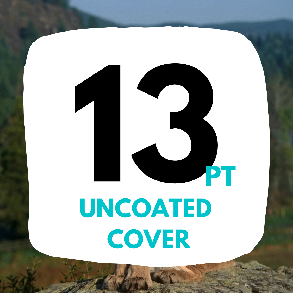 13pt uncoated cover