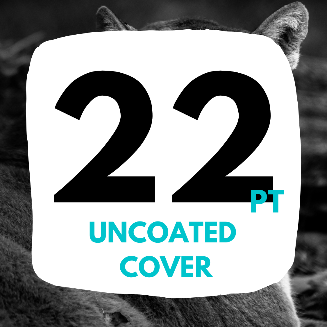 22pt uncoated cover