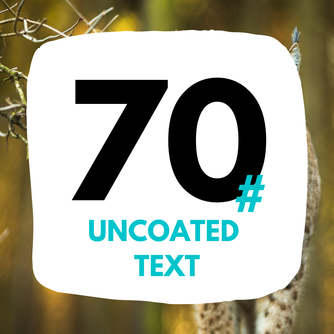 70# Uncoated Text
