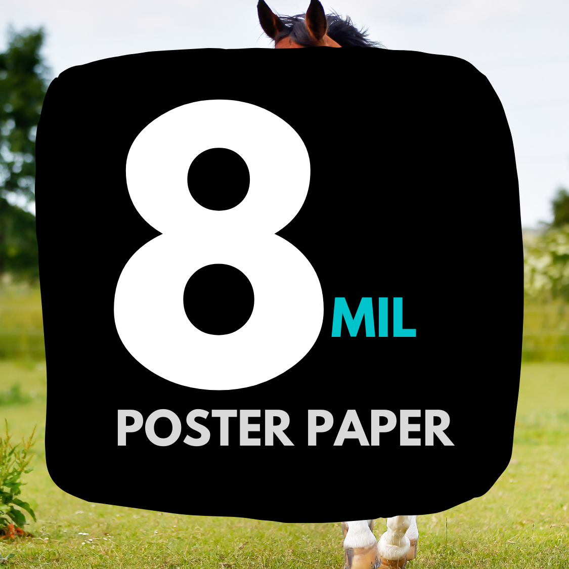 8 mil poster paper
