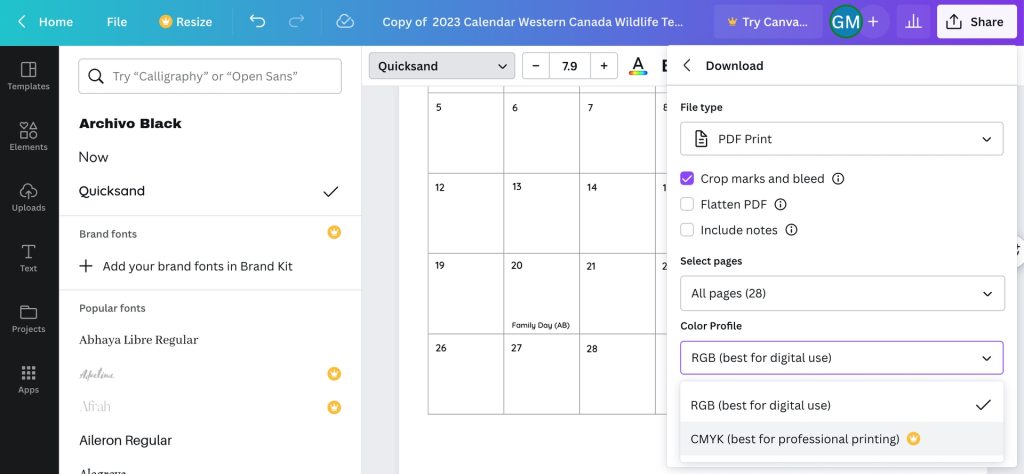 Screenshot of user selecting download settings for calendar made with Little Rock Printing template