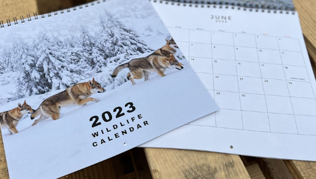 2023 wildlife calendar printed by Little Rock Printing