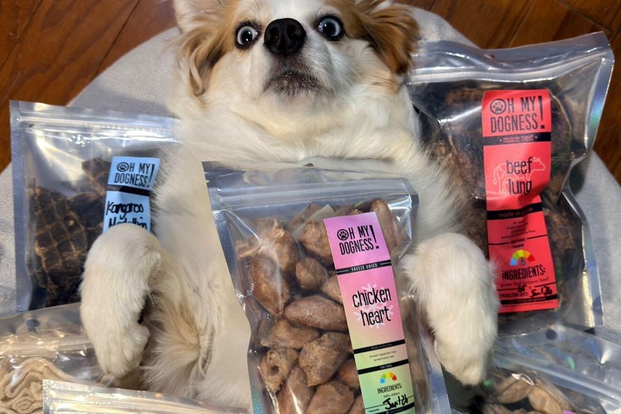 Dog surrounded by Oh My Dogness natural dog treat packages featuring custom labels printed at Little Rock Printing.
